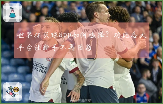 世界杯买球app如何选择？对比各大平台让新手不再困惑