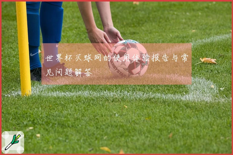世界杯买球网的使用体验报告与常见问题解答