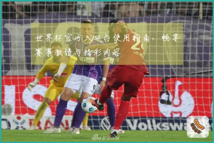 世界杯官方入口与使用指南，畅享赛事激情与精彩内容