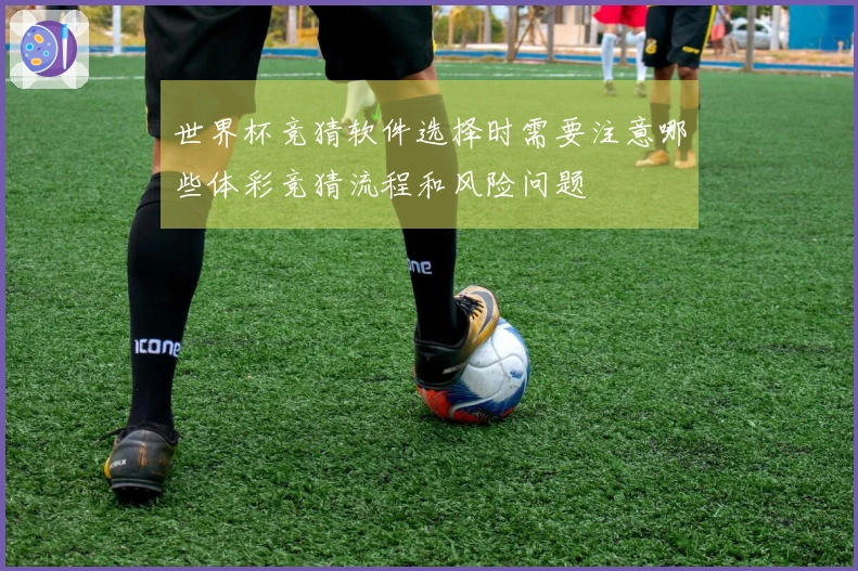 世界杯竞猜软件选择时需要注意哪些体彩竞猜流程和风险问题