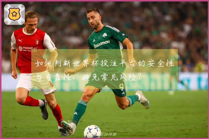 如何判断世界杯投注平台的安全性与可靠性，避免常见风险？