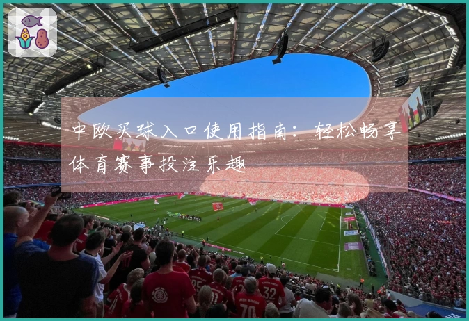 中欧买球入口使用指南：轻松畅享体育赛事投注乐趣
