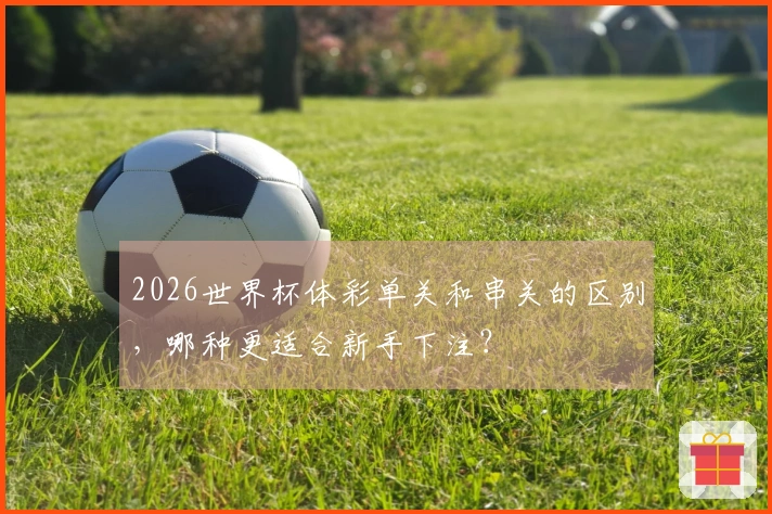 2026世界杯体彩单关和串关的区别，哪种更适合新手下注？