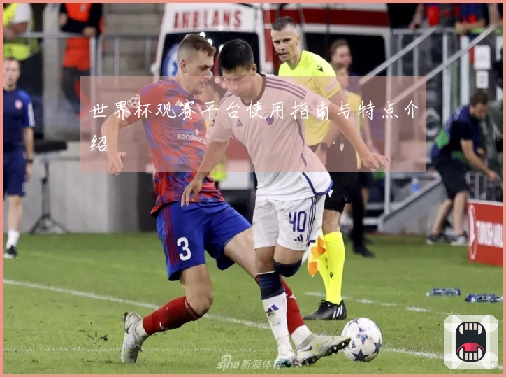 世界杯观赛平台使用指南与特点介绍