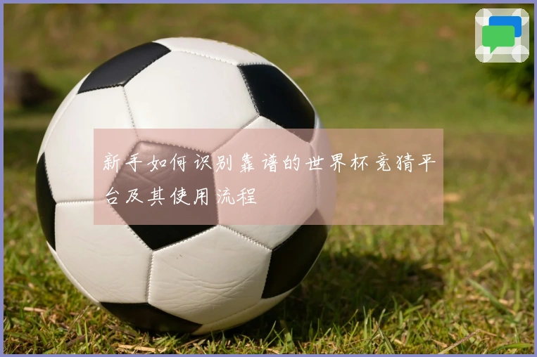 新手如何识别靠谱的世界杯竞猜平台及其使用流程