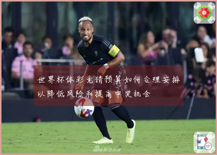 世界杯体彩竞猜预算如何合理安排以降低风险和提高中奖机会