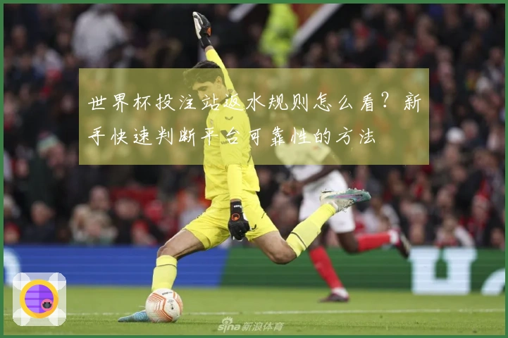 世界杯投注站返水规则怎么看？新手快速判断平台可靠性的方法