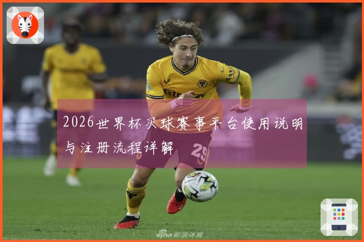 2026世界杯买球赛事平台使用说明与注册流程详解