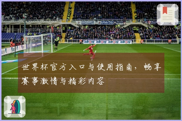 世界杯官方入口与使用指南，畅享赛事激情与精彩内容