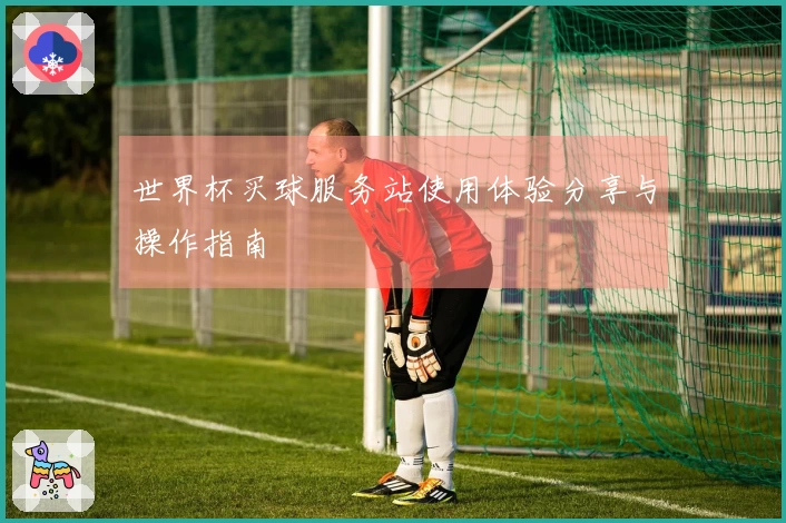世界杯买球服务站使用体验分享与操作指南