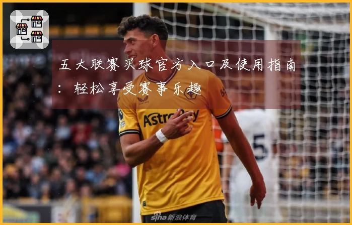 五大联赛买球官方入口及使用指南：轻松享受赛事乐趣