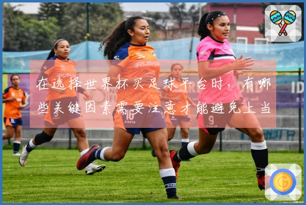 在选择世界杯买足球平台时，有哪些关键因素需要注意才能避免上当？