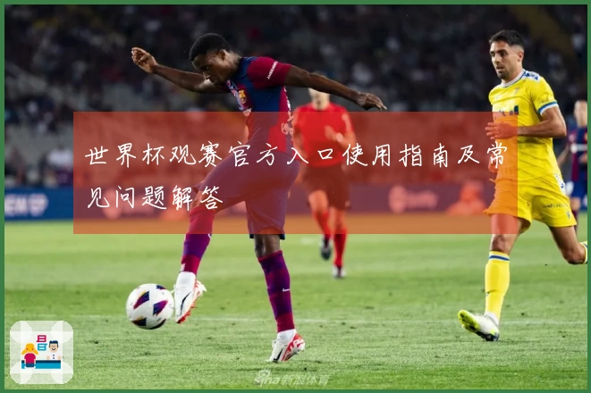 世界杯观赛官方入口使用指南及常见问题解答
