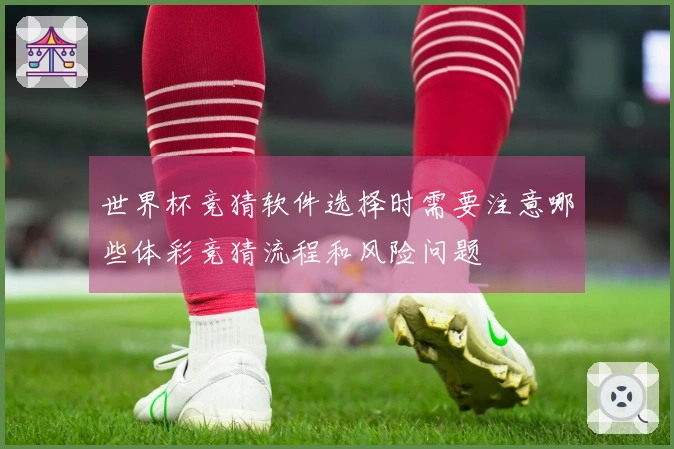 世界杯竞猜软件选择时需要注意哪些体彩竞猜流程和风险问题